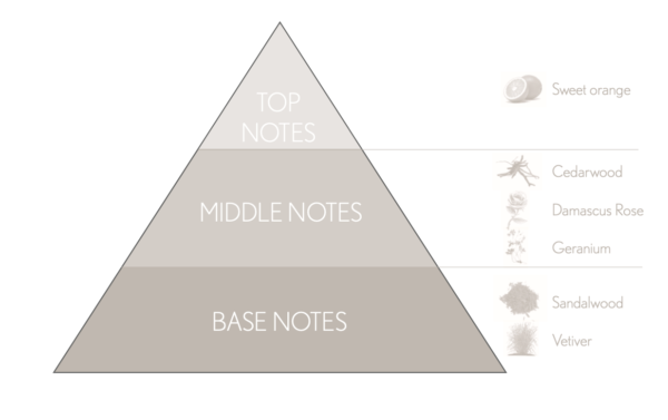 comfort zone tranquility pro-sleep olfactory pyramid image